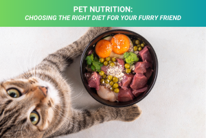 Pet Nutrition: Choosing the Right Diet for Your Furry Friend